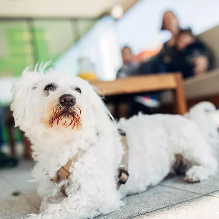 Harry's Hart Bei & Hotel 3*